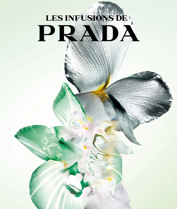 Parfumica - Prestijli Markaların Güvenilir Parfüm Sitesi
