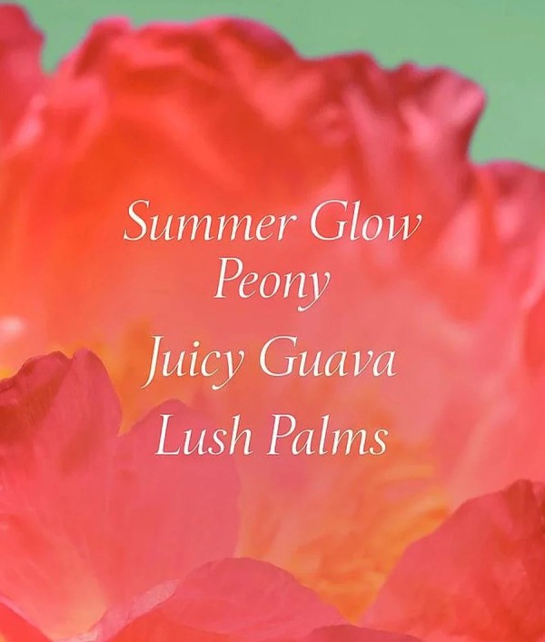 Parfumica - Prestijli Markaların Güvenilir Parfüm Sitesi