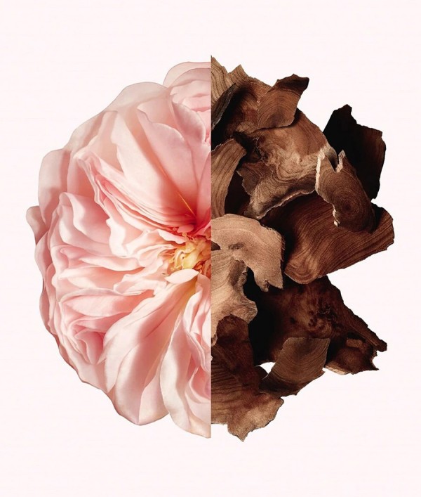 Parfumica - Prestijli Markaların Güvenilir Parfüm Sitesi