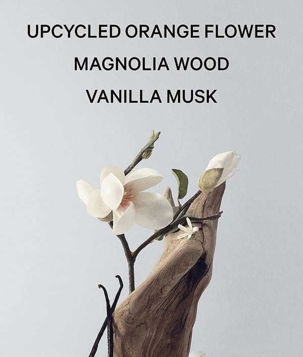 Parfumica - Prestijli Markaların Güvenilir Parfüm Sitesi