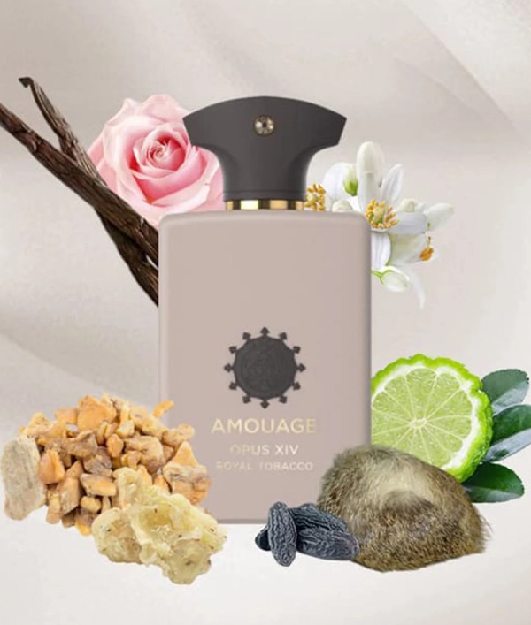 Parfumica - Prestijli Markaların Güvenilir Parfüm Sitesi