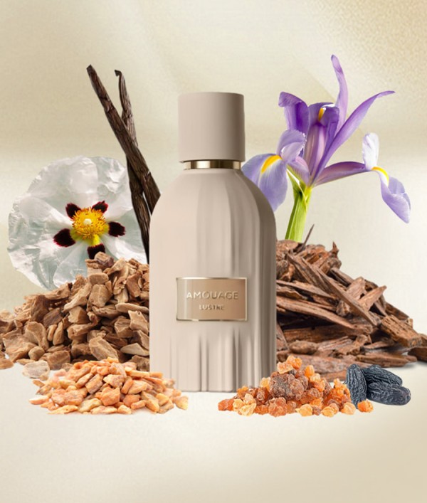 Parfumica - Prestijli Markaların Online Parfüm Satış Sitesi