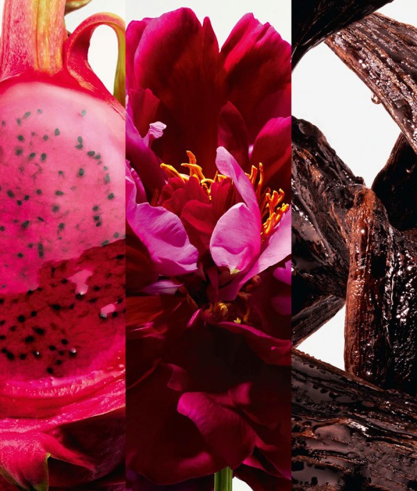 Parfumica - Prestijli Markaların Online Parfüm Satış Sitesi