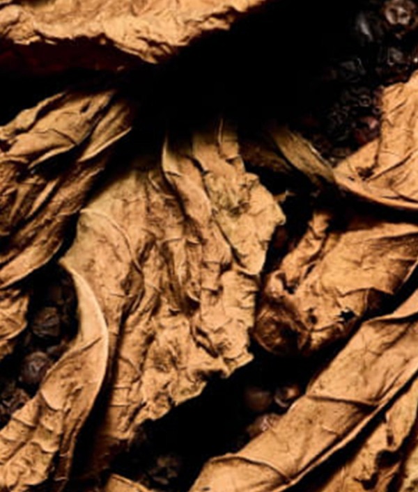 Parfumica - Prestijli Markaların Online Parfüm Satış Sitesi