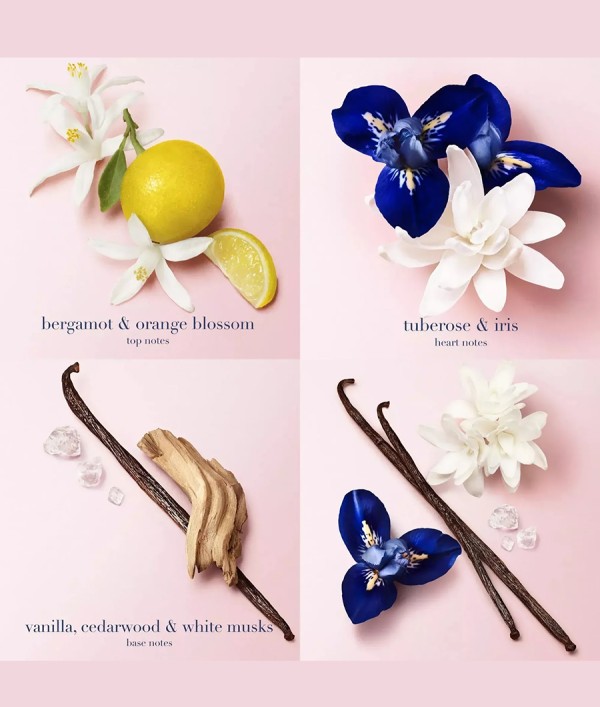 Parfumica - Prestijli Markaların Online Parfüm Satış Sitesi