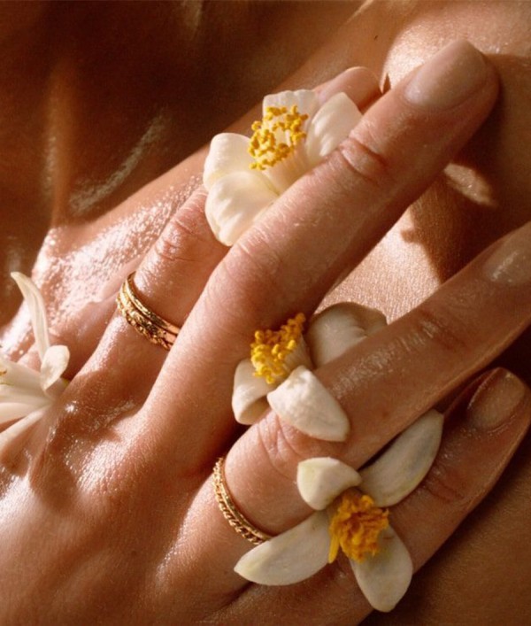 Parfumica - Prestijli Markaların Online Parfüm Satış Sitesi