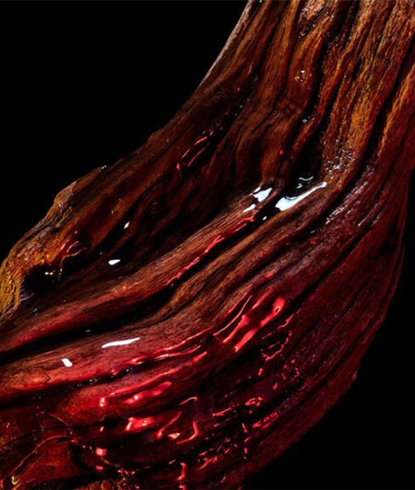 Parfumica - Prestijli Markaların Online Parfüm Satış Sitesi