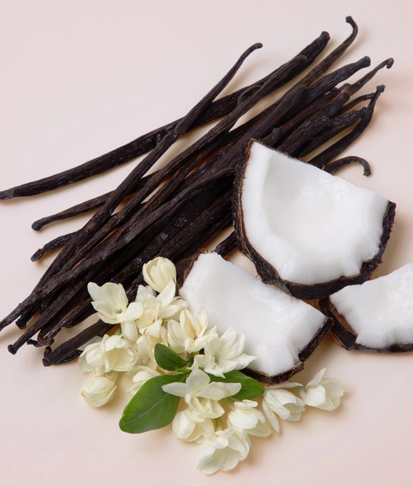 Parfumica - Prestijli Markaların Online Parfüm Satış Sitesi