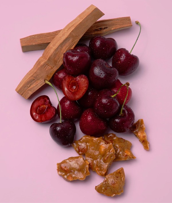 Parfumica - Prestijli Markaların Online Parfüm Satış Sitesi