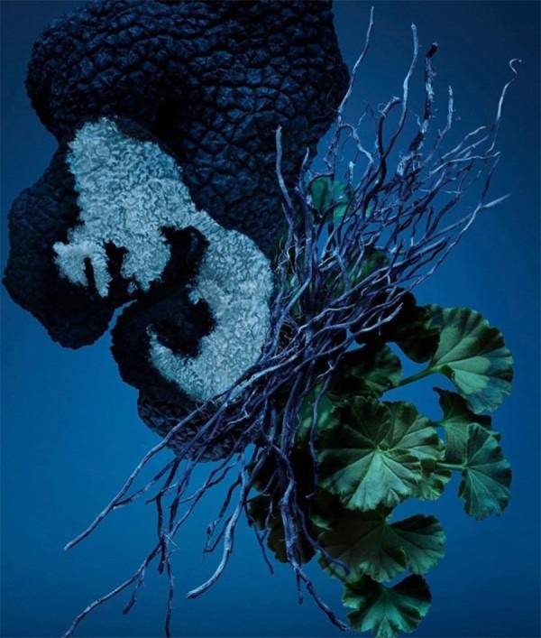 Parfumica - Prestijli Markaların Online Parfüm Satış Sitesi