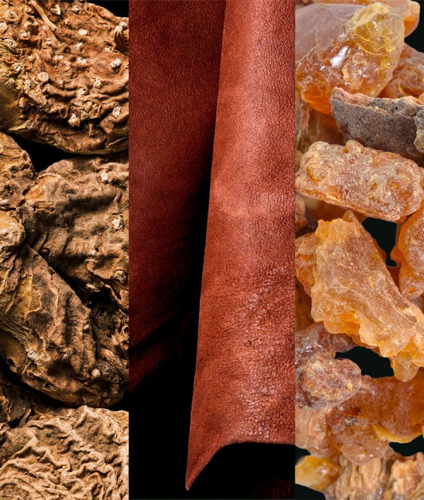 Parfumica - Prestijli Markaların Online Parfüm Satış Sitesi