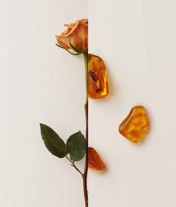 Parfumica - Prestijli Markaların Online Parfüm Satış Sitesi