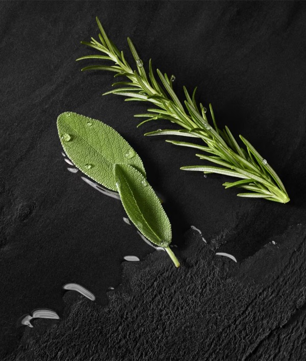 Parfumica - Prestijli Markaların Online Parfüm Satış Sitesi