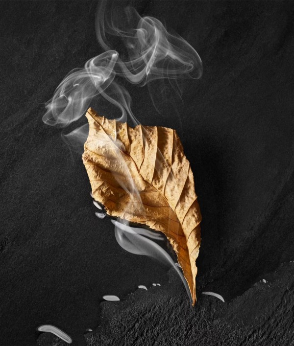 Parfumica - Prestijli Markaların Online Parfüm Satış Sitesi