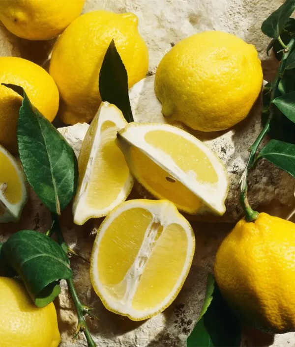 Parfumica - Prestijli Markaların Online Parfüm Satış Sitesi