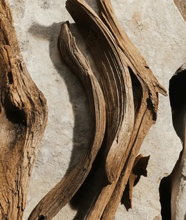 Parfumica - Prestijli Markaların Online Parfüm Satış Sitesi