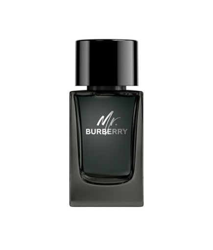 Burberry Mr Burberry Men EDP 100 ml Erkek Parfüm