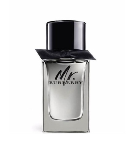 Burberry Mr Burberry Men EDT 100 ml Erkek Parfüm