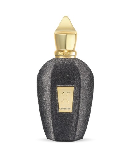 Xerjoff Ouverture EDP 100 ml Unisex Parfüm