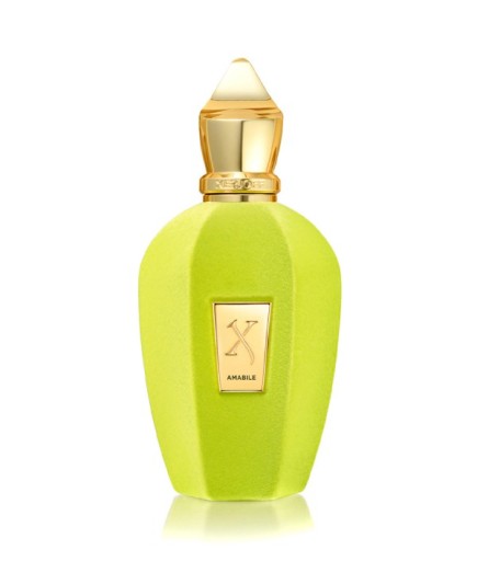 Xerjoff V Amabile EDP 100 ml Unisex Parfüm