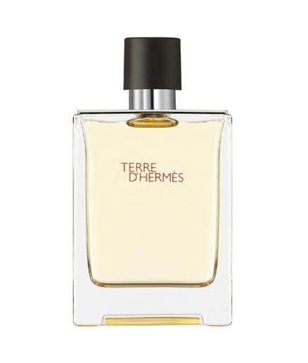 Hermes Terre d'Hermès Eau de Toilette 100 ml Erkek Parfüm